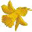 flowerhouseflower.gif